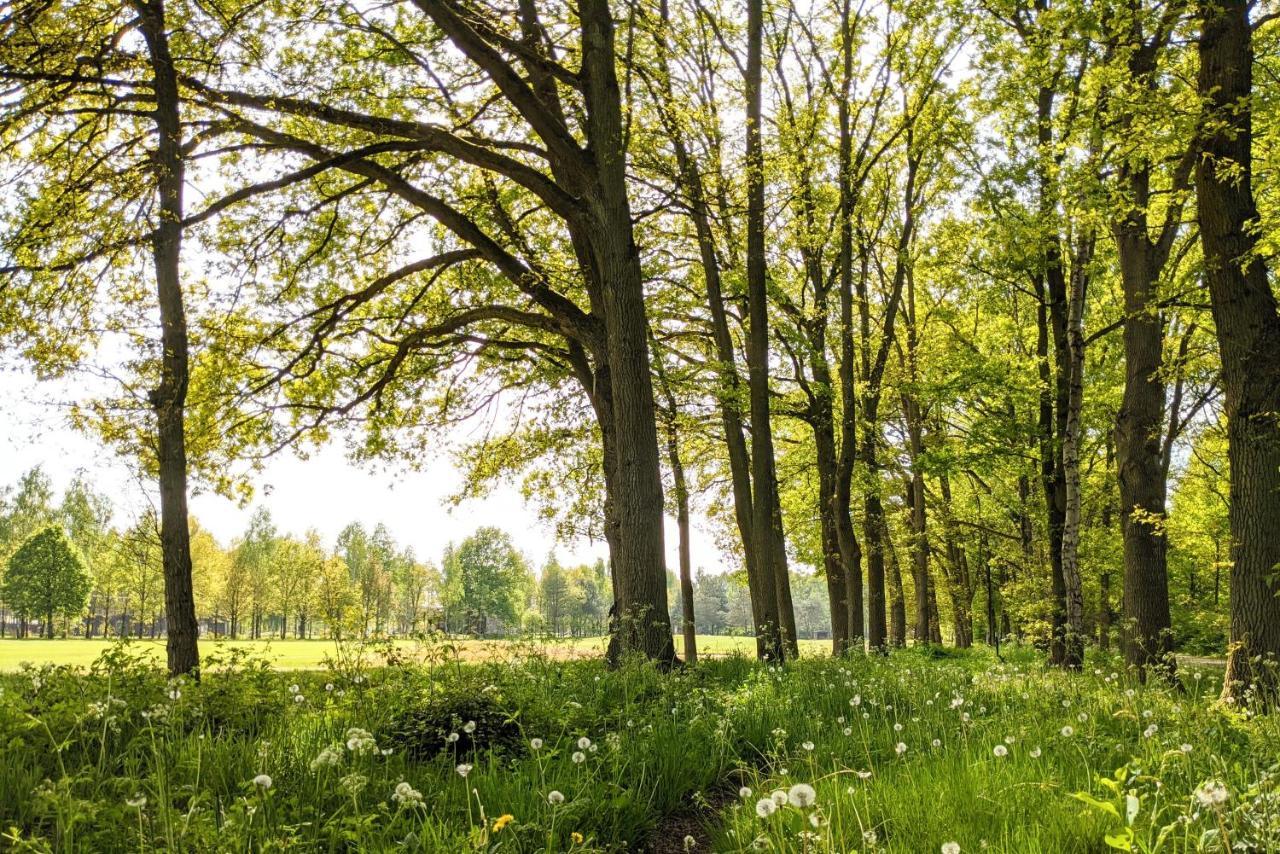 Camping De Vinkenkamp Lieren المظهر الخارجي الصورة